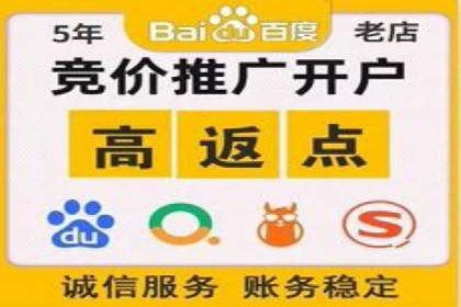某品牌的信息流广告投放策略及效果展示